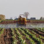 Zielony turbozastrzyk dla roślin: ekologiczne techniki nawożenia dolistnego, które podnoszą plon bez obciążania gleby